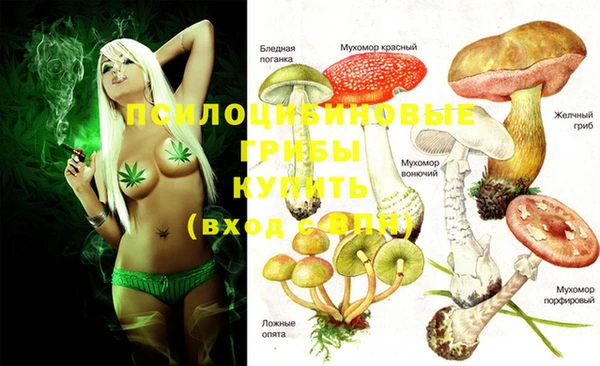 MESCALINE Белокуриха