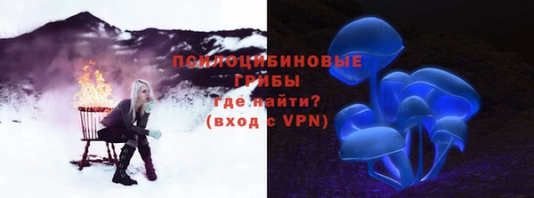 ГАЛЛЮЦИНОГЕННЫЕ ГРИБЫ Беломорск