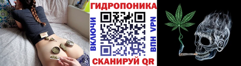Марихуана марихуана  нарко площадка официальный сайт  Куровское 